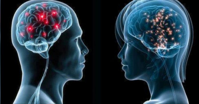 actividad sexual actividad sexual