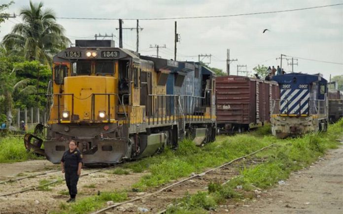 matan a migrantes hondureños en México matan a migrantes hondureños en México