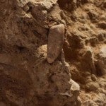Hallazgo importante Hallan un diente humano de 560.000 años en Francia3