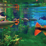 Miles de peces mueren por demoras en acuario gigante en Brasil