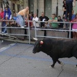 Un hombre muere corneado por un toro en España