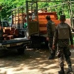 Honduras Detienen a diputado liberal por transportar madera sin permiso