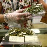 A Medical Marijuana Operation In Colorado Run By Kristi Kelly, Co-Founder Of Good Meds Network