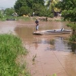 Crecida del Río Ulúa afecta ex campos bananeros en El Progreso
