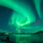 El hermoso baile de unas ballenas bajo la aurora boreal en Noruega