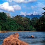 Honduras En peligro la biosfera del Río Plátano, la Amazonía de Centroamérica (2)