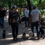 Policía investiga misterioso caso de mataperros en parque de México