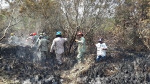 Jeannette Kawas: Las llamas no afectaron el bosque manglar .