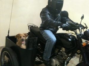 Coche para transporte de mascota en motocicletas.