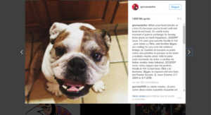 Homenaje de Gloria Estefan a Issac en su perfil de Instagram