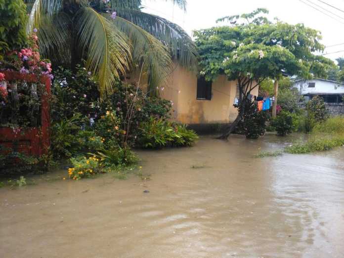 Varios lugares del país afectados por tormenta tropical EARL