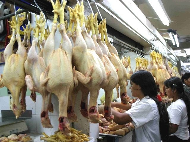 carne de pollo en Honduras