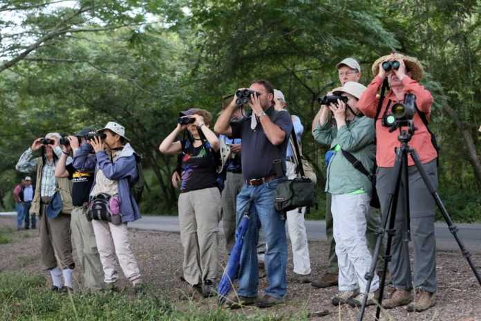 Avituristas internacionales culminan expedición en Honduras