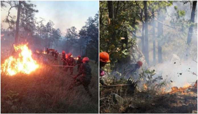 incendios forestales