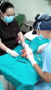 cirugías de mano
