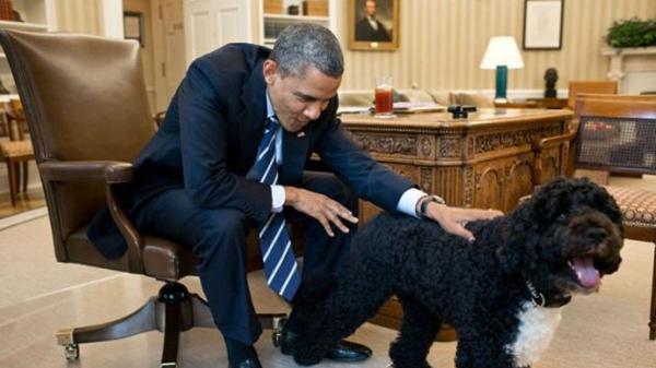 El perro de los Obama