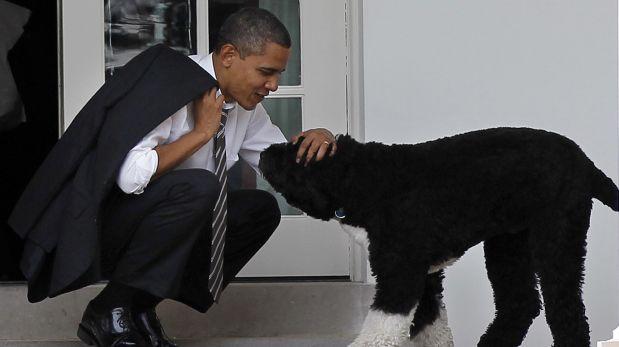 El perro de Obama