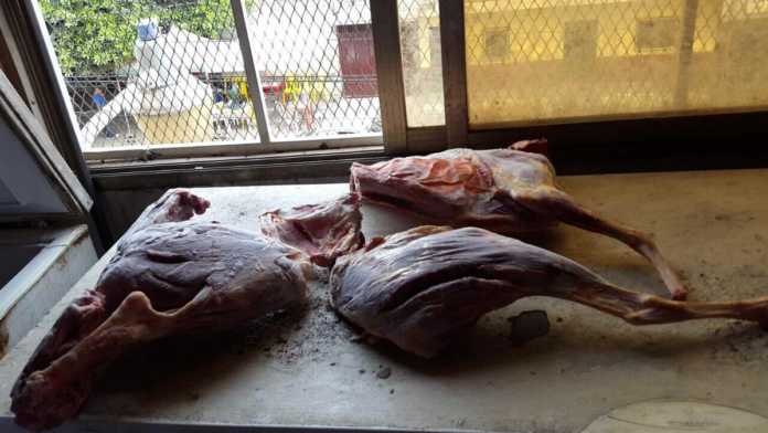 carne de perro en restaurante de Tegcuigalpa