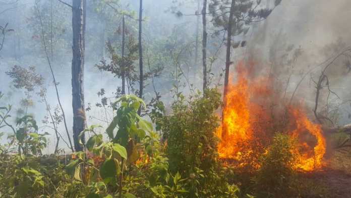 Valle de Ángeles nuevo incendio