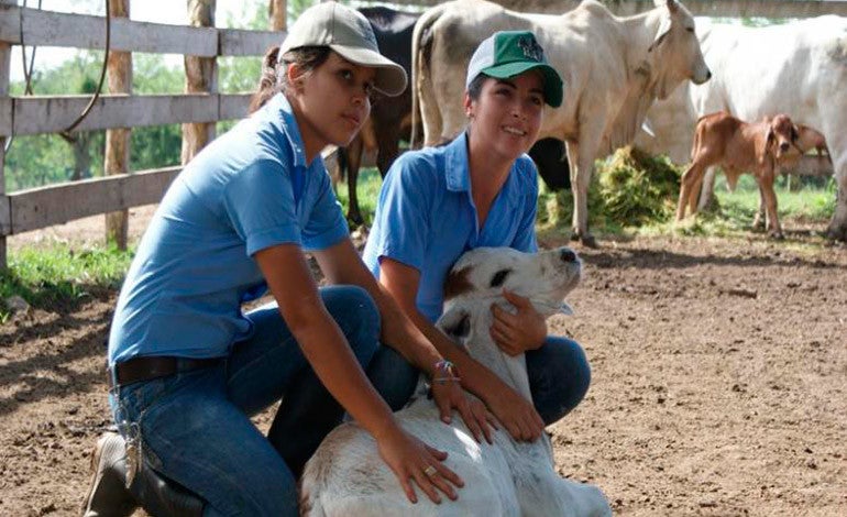 UNAG: Lenta construcción de hospital veterinario mantiene cerrada carrera  de medicina veterinaria