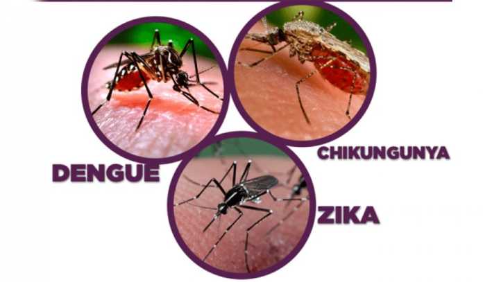 provincia_2016527_556932085 zika