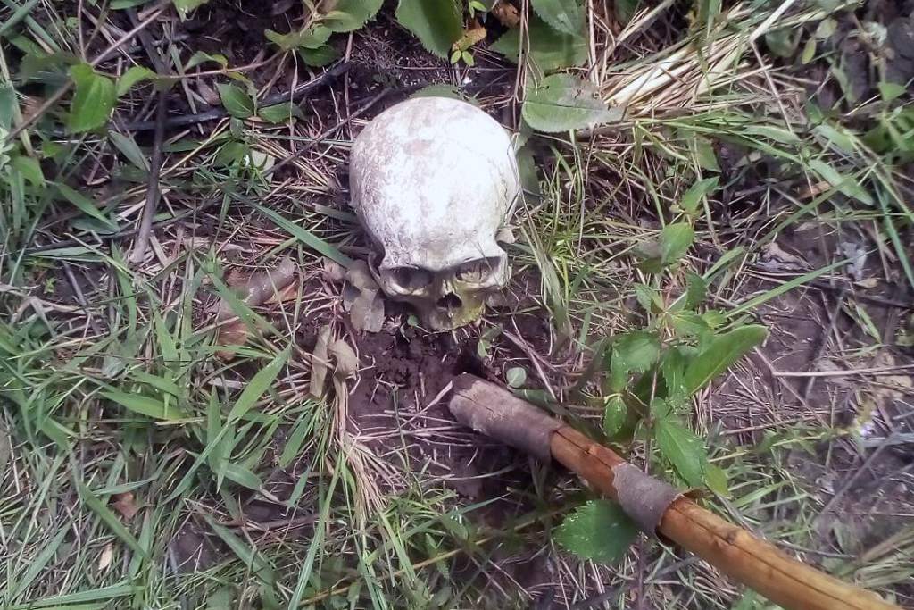 cráneo en comayagua