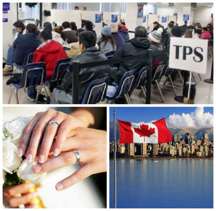 Compatriotas optan por casarse o irse a Canadá ante el fin del TPS