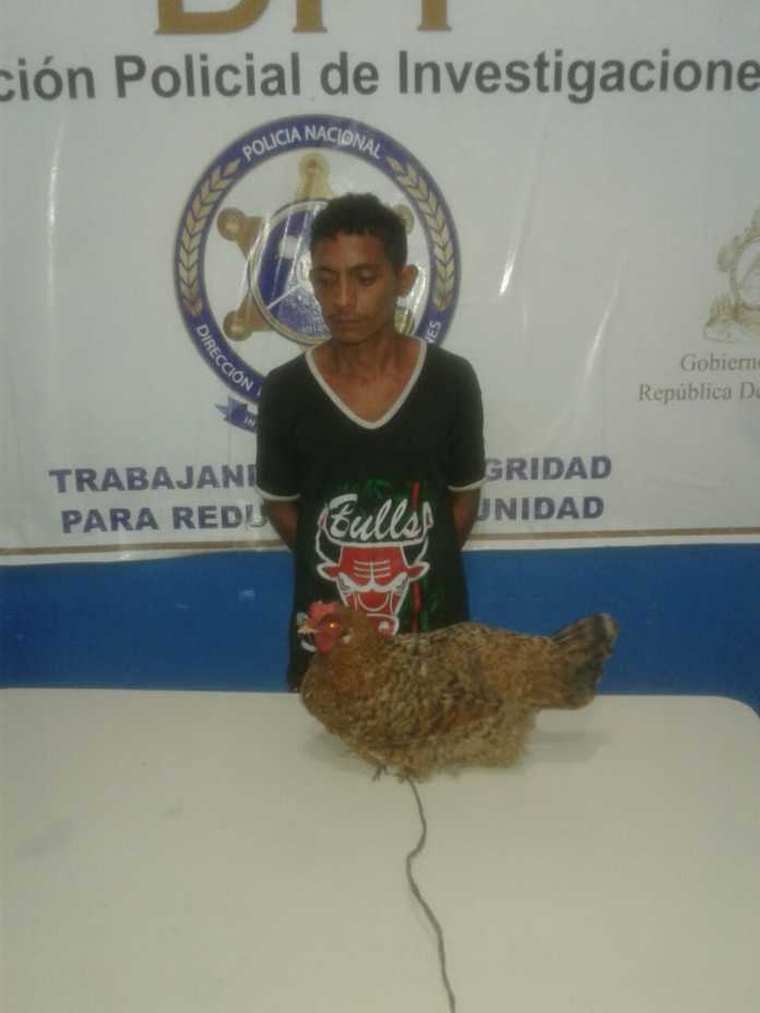 detenido por robar gallinas en Choluteca