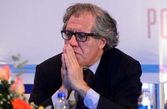 Luis Almagro Luis Almagro