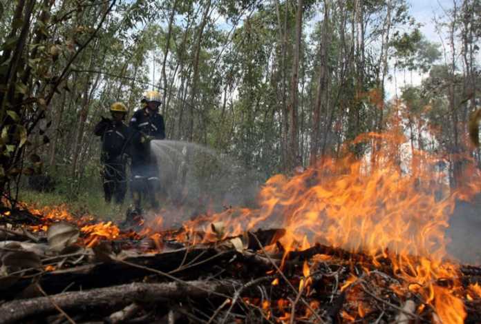 incendios registrados en el 2017 en Honduras
