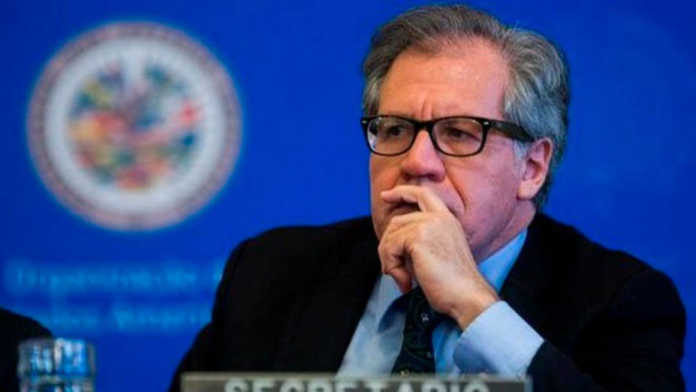 Luis Almagro Luis Almagro