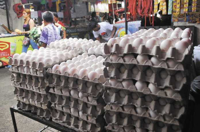 Precio de los huevos no baja de los 90 LPS Precio de los huevos no baja de los 90 LPS