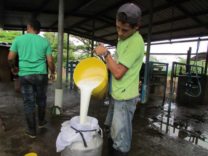 dt.common.streams.StreamServer (1) importación de leche en polvo