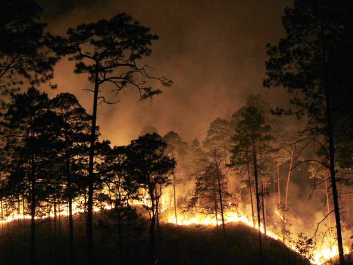 dt.common.streams.StreamServer (2) incendios