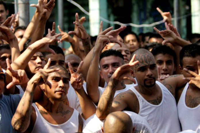 pandilleros pandilleros