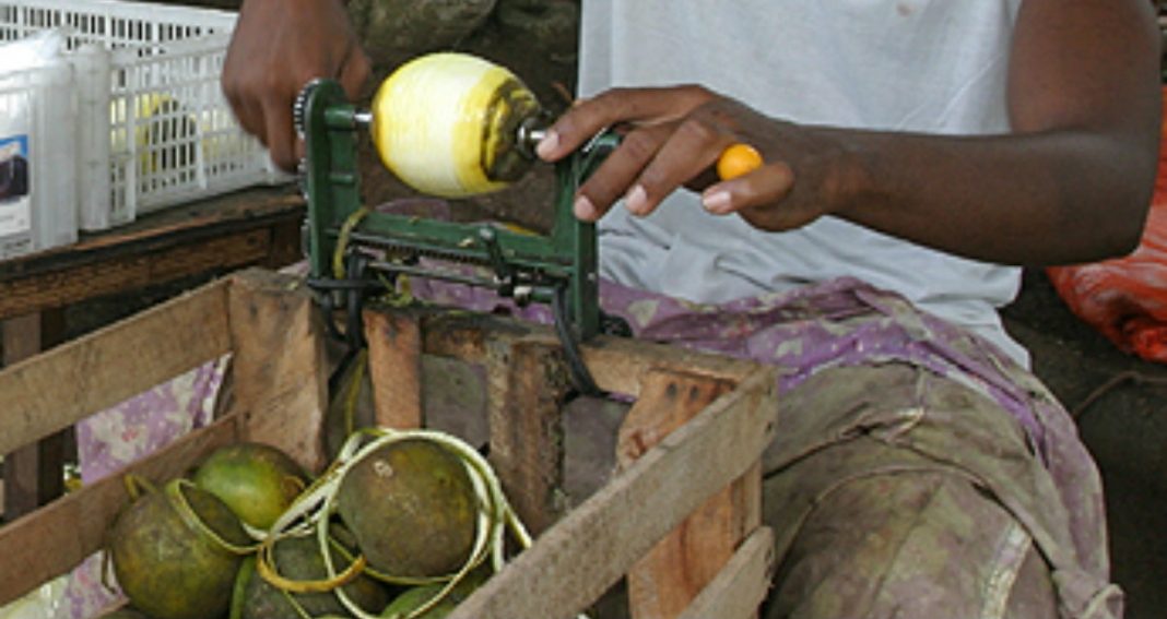 vendedor de naranjas en La Ceiba