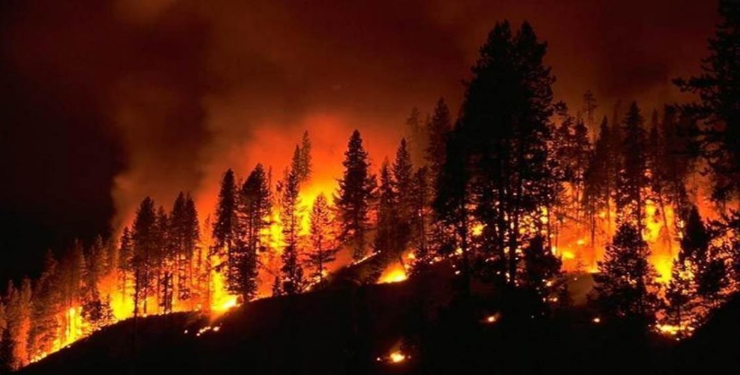 373 incendios forestales