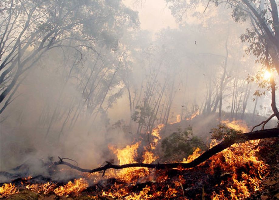 incendio forestal en Ojojona