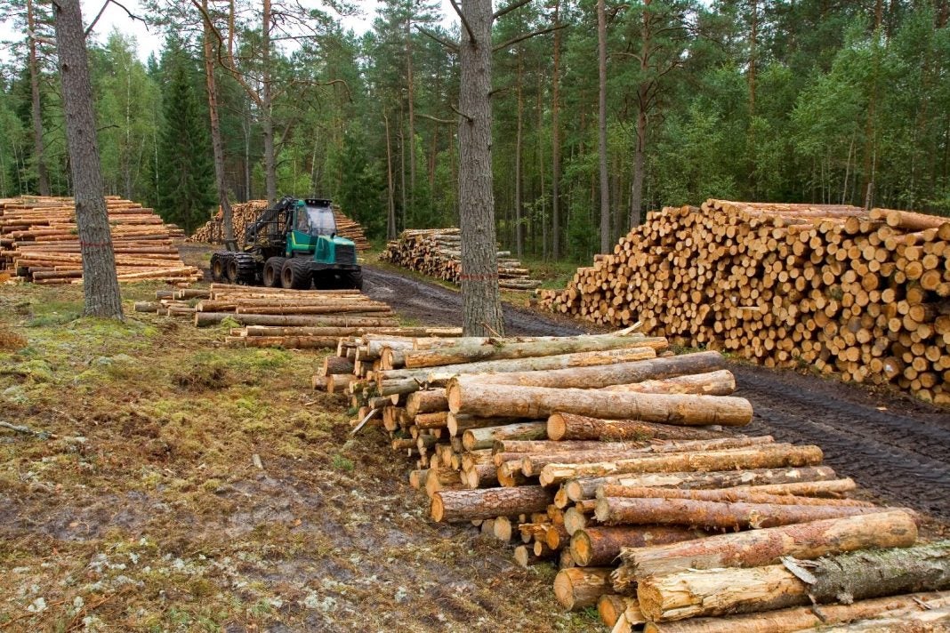 Exportación de madera