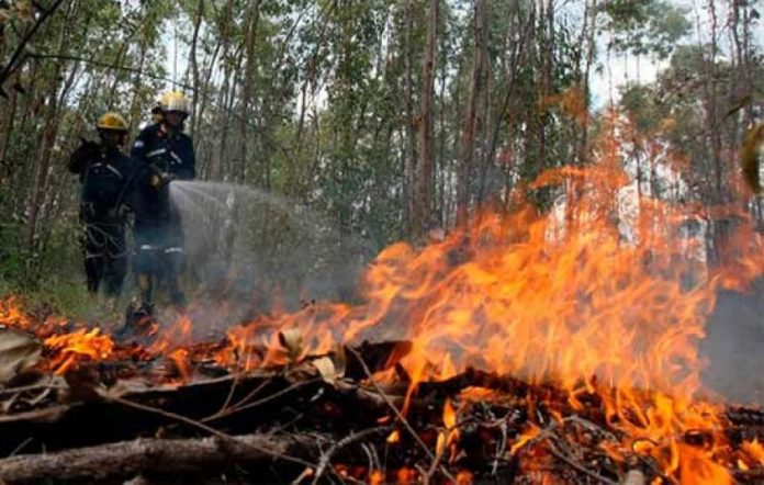 estado de emergencia ambiental estado de emergencia ambiental