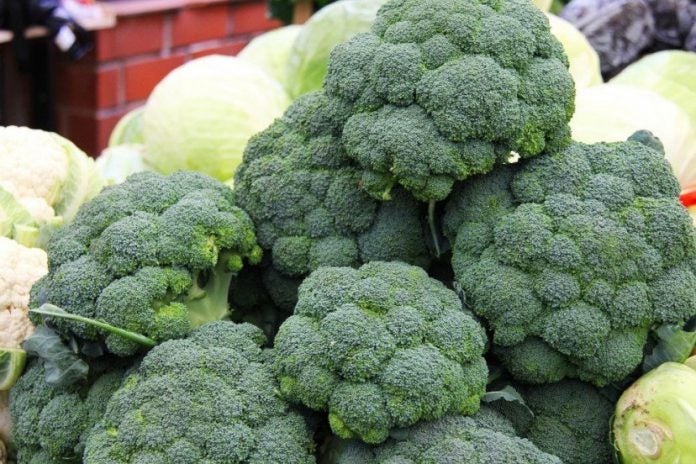 Beneficios del brócoli Beneficios del brócoli