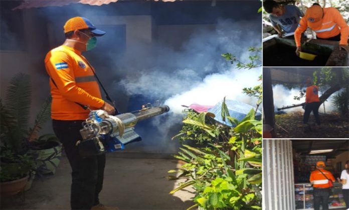 Dengue Dengue