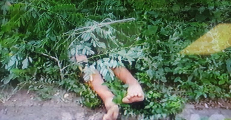 Olancho: encuentran a joven asesinado, «enchachado» y tapado con ramas árbol