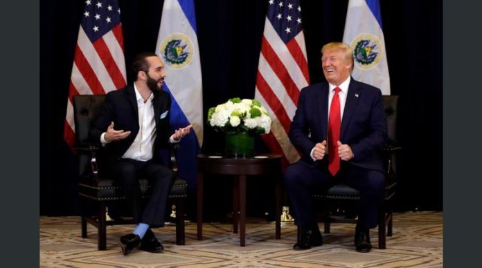 Bukele y Trump