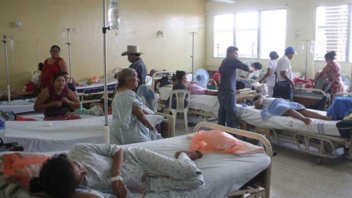 dengue dengue
