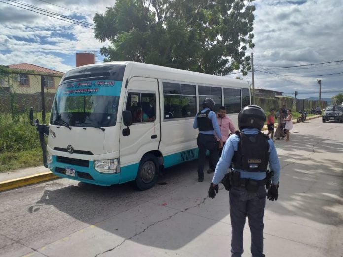 transportista asesinado transportista asesinado