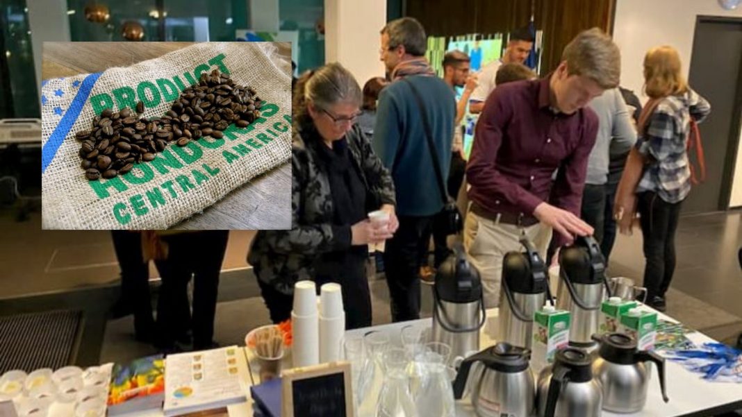 Alemanes prueban café de Honduras