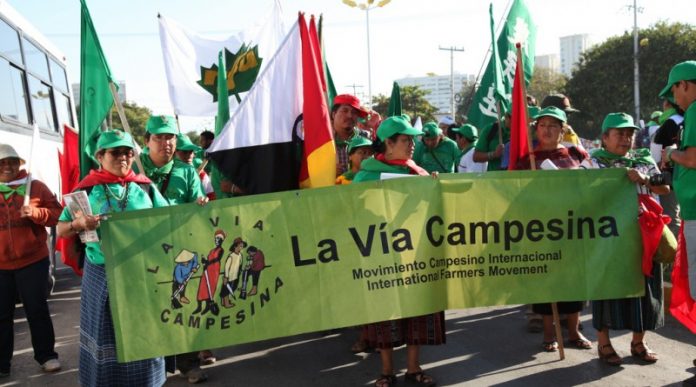 Vía Campesina Vía Campesina