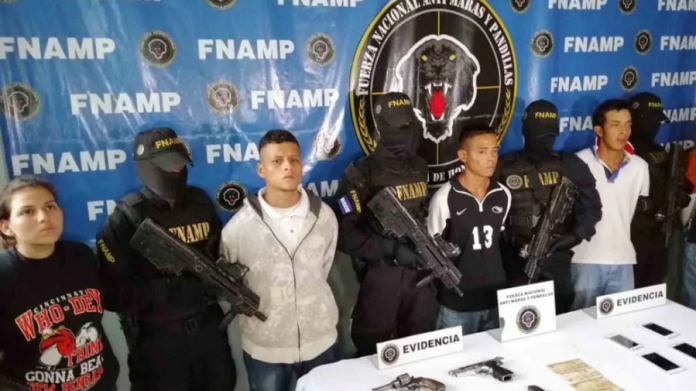 FNAMP