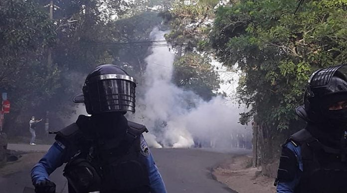 ambientalistas ambientalistas